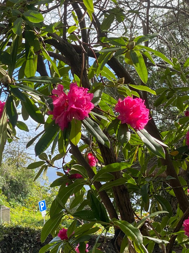 Los geht es in den Botanischen Garten