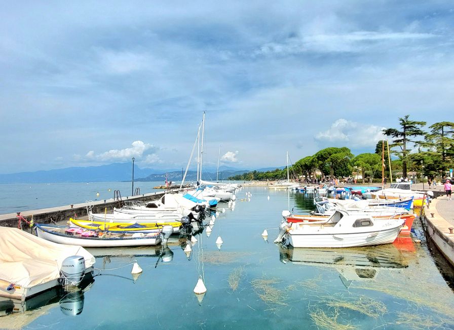 Lazise