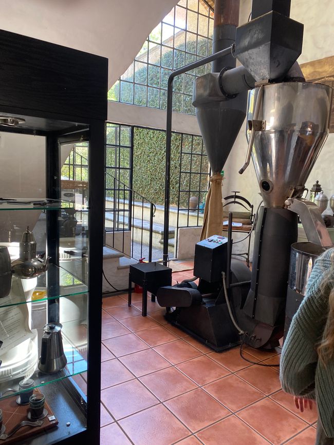 Coatepec - production de café 