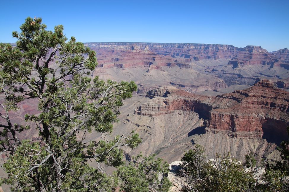 Grand Canyon