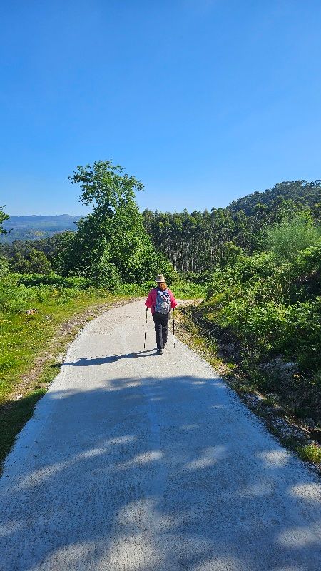 Tag 5 - Redondela bis Pondevedra