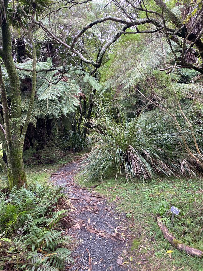 Hukutaia Domain
