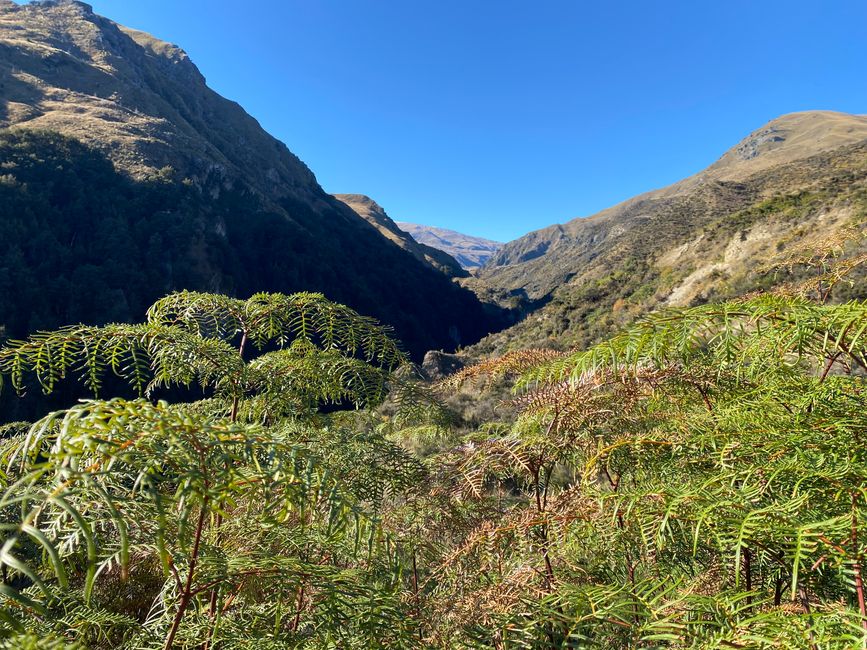 Arrowtown, Queenstown