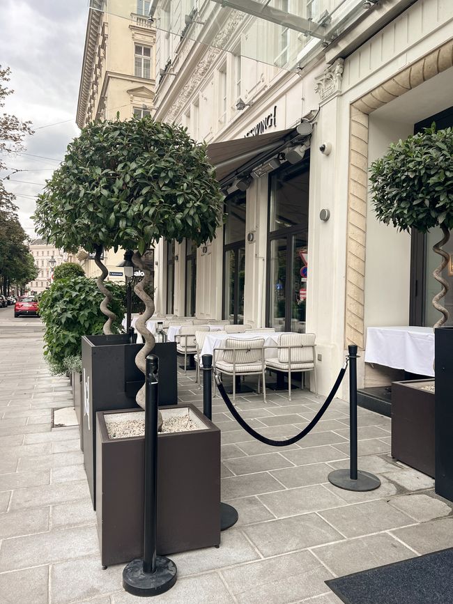 A cozy time in Vienna