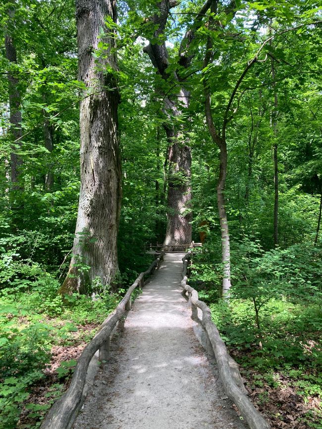 Radeln zum Rosengarten