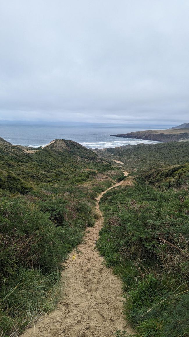 View into the Sandfly bay