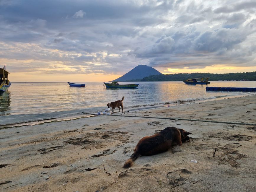 Tag 6 Bunaken