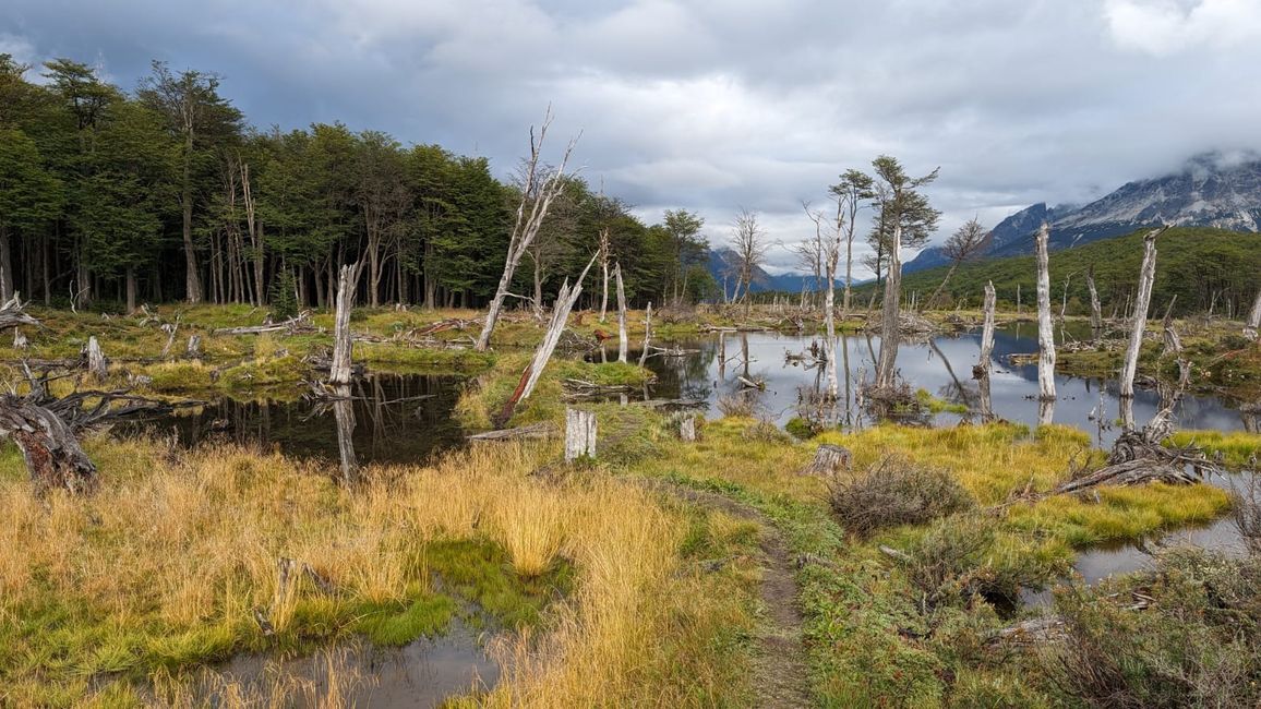 Laguna Esmeralda & Glarcia Martial (Tierra del fuego)