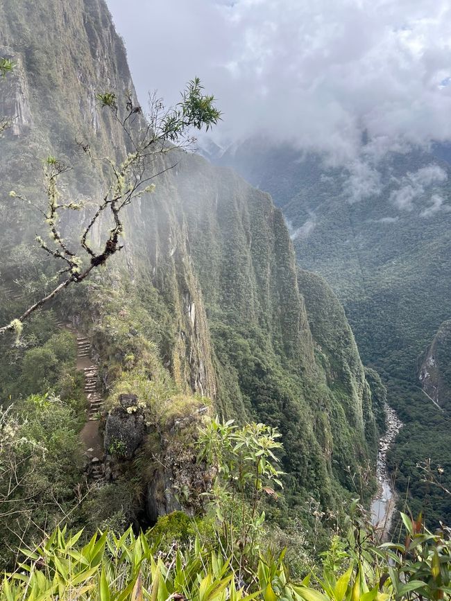 👷‍♂️标签 31-1 (3.11.) 马丘比丘，登上惠纳比丘山