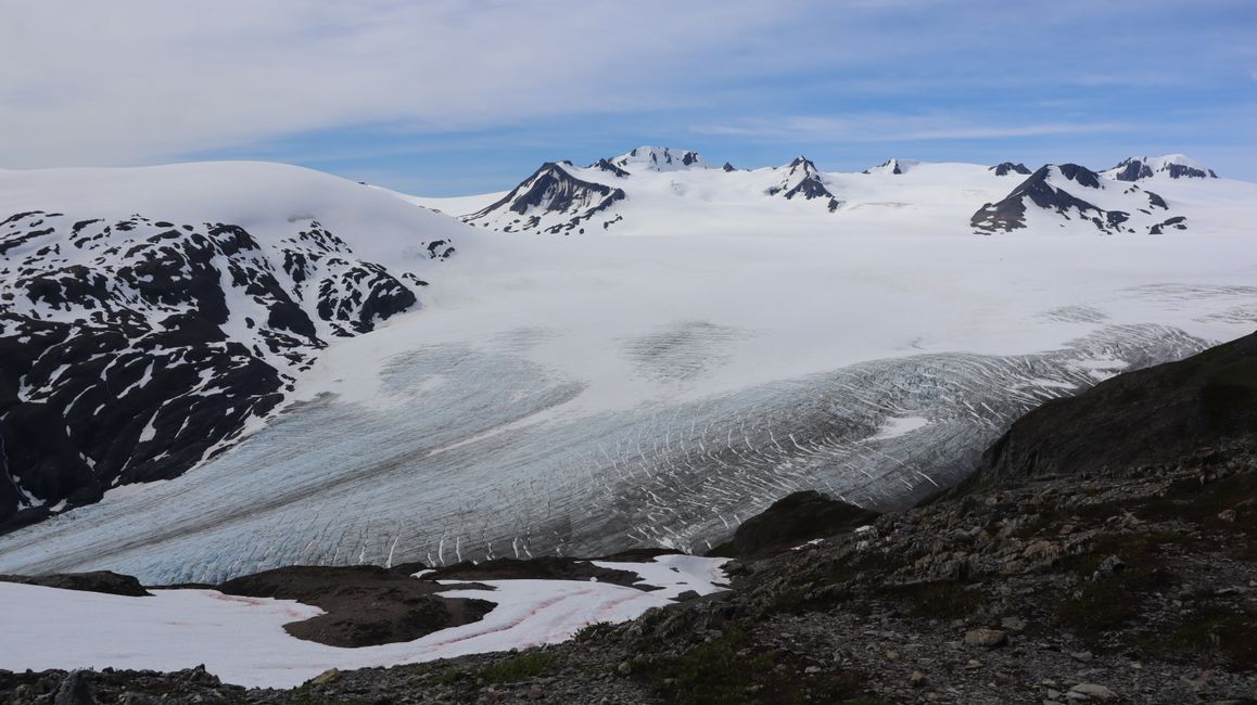 Champ de glace Harding