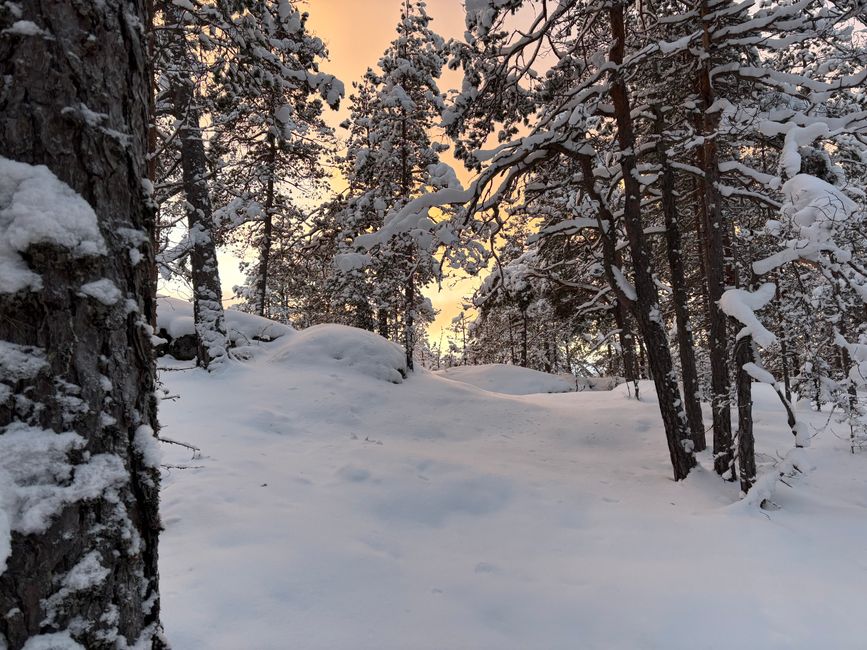 The finnish way