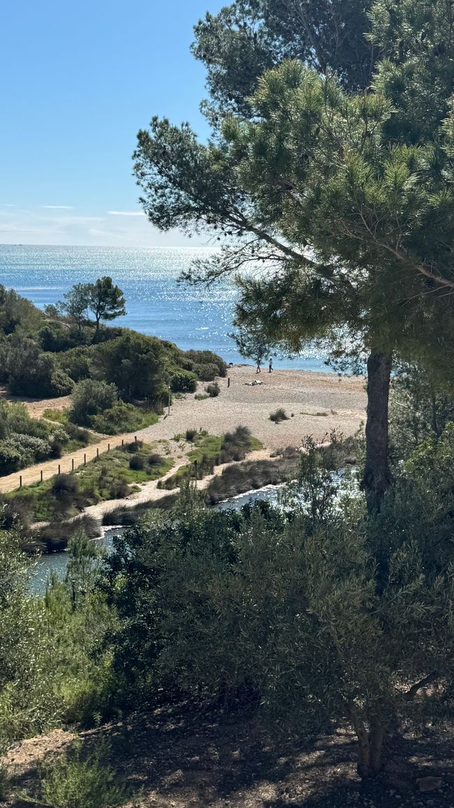 Blick vom Restaurant am Campingplatz 