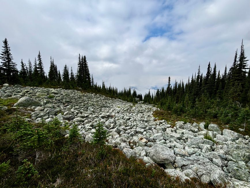 Blackcomb Mountain