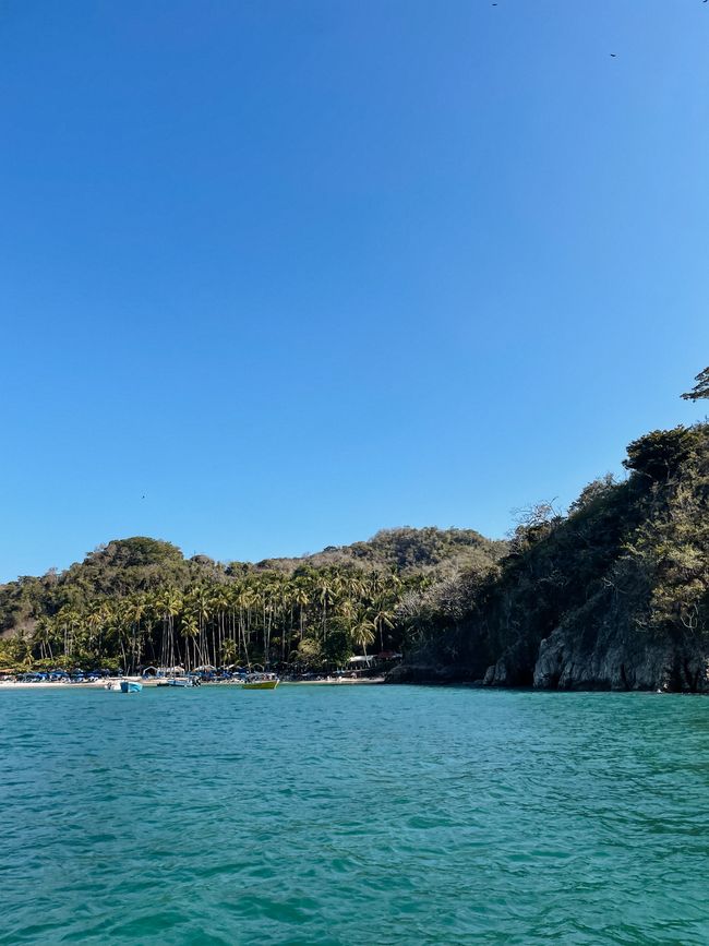 Pura Vida en Santa Teresa 🇨🇷🌴🔆🌊🐚