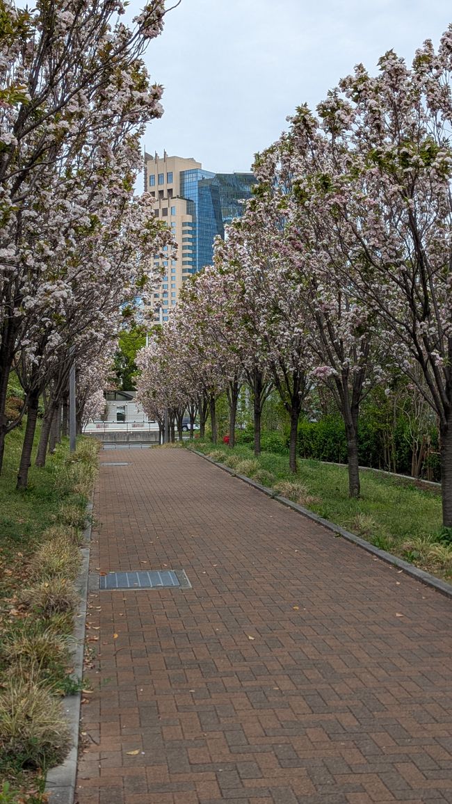 Prime impressioni di Tokyo