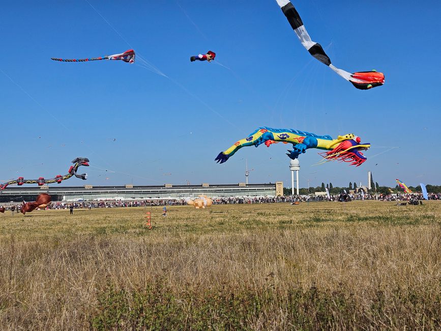 Festival der Riesendrachen