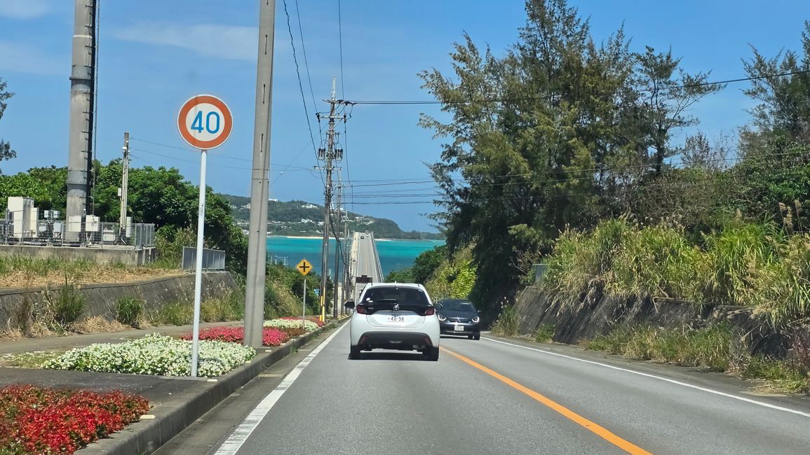 Okinawa Nuchi du takara (Life is the very thing we treasure)