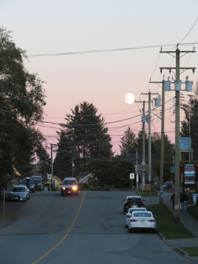 Ucluelet