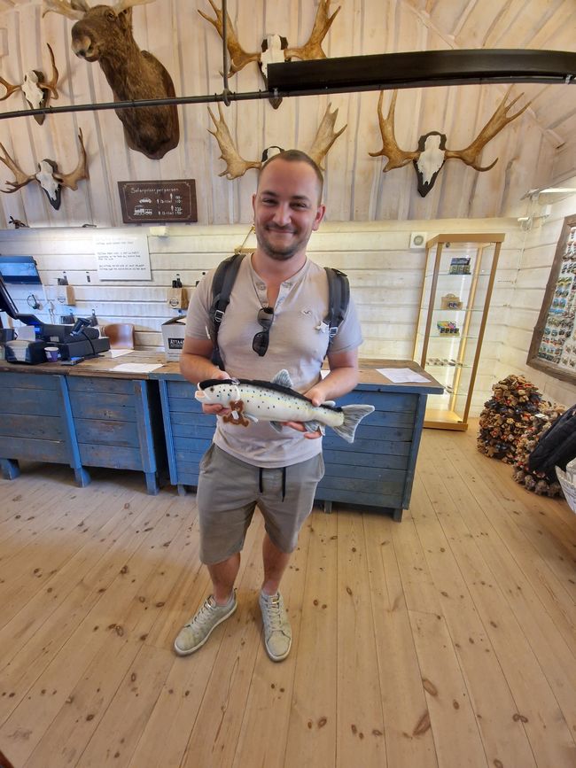 Svezia 6° giorno - Safari degli alci, acquisto di un caricabatterie e campeggio speciale