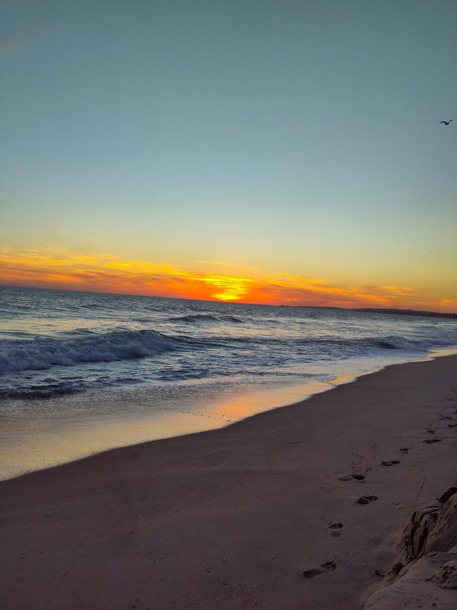 Beaches