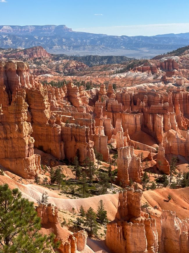 Canyon Land: Zion and Bryce Canyon❤️