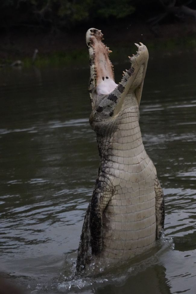 Pousada Rio Claro