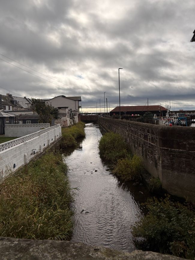 Arbroath, Smokies und Klippen
