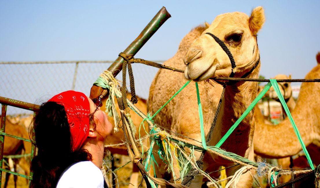 The tip of the Arabian Peninsula (1)
