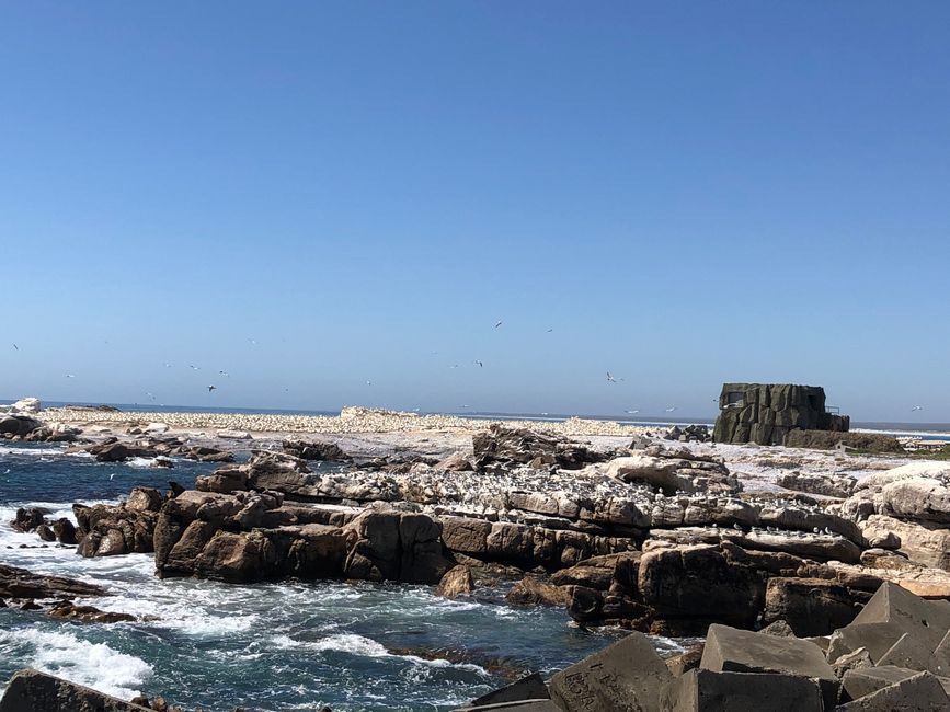 Südafrika - Lambert´s Bay
