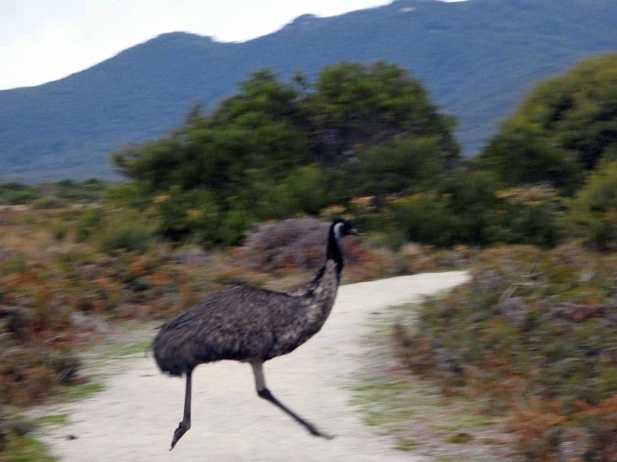 Melbourne - Wilsons-Promontory-Nationalpark