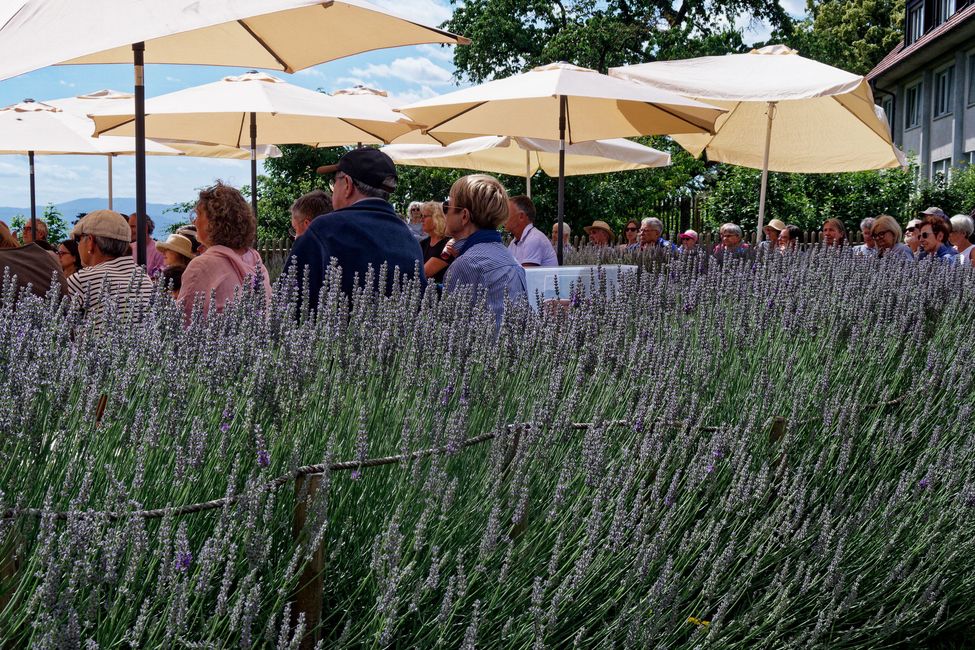 Jazz-Matinée im Klostergarten