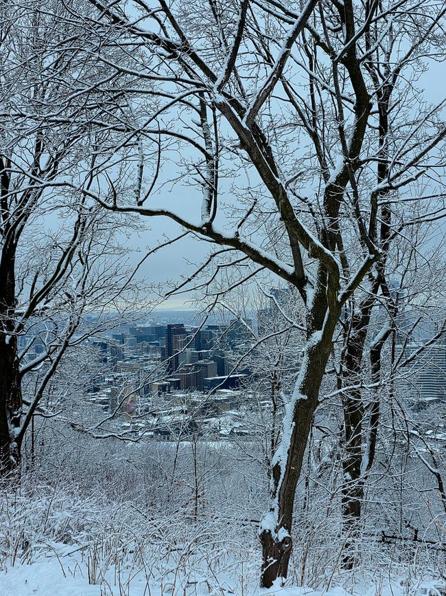 Mont-Royal y los Canadiens de Montréal contra los San Jose Sharks