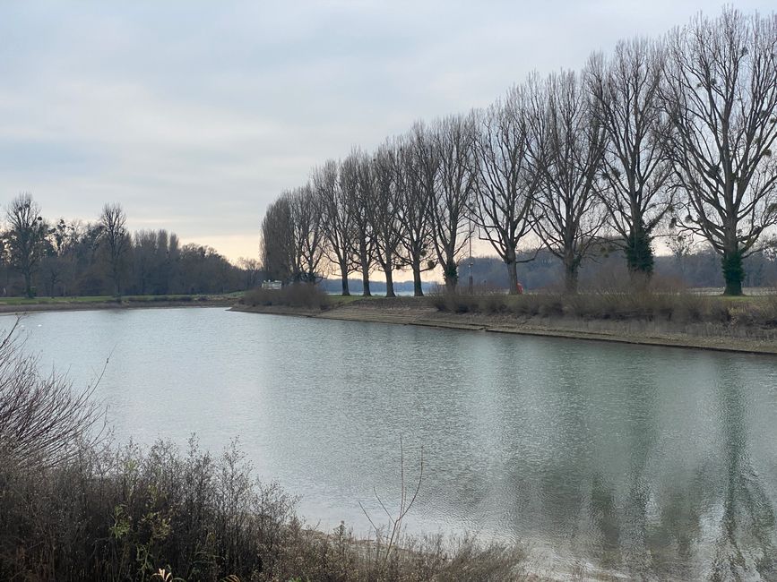 Das ehemalige Badebecken und dahinter der Rhein.