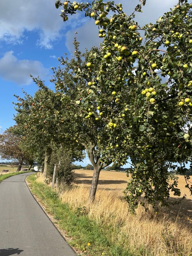 Vom Darß nach Wismar 