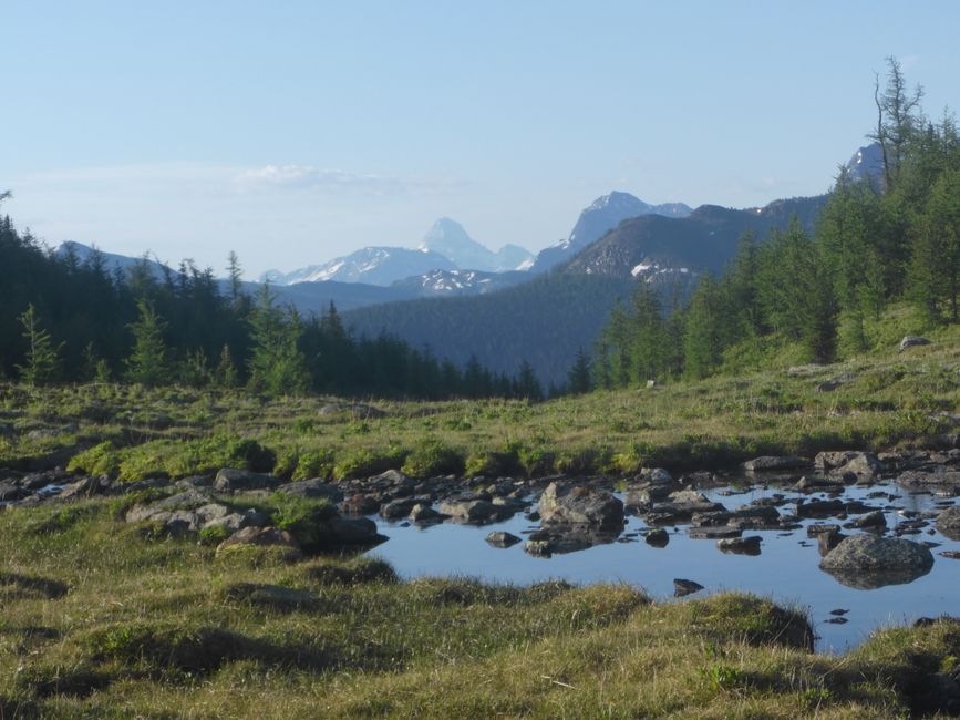 2025-06-30 Bow Parkway verso Banff