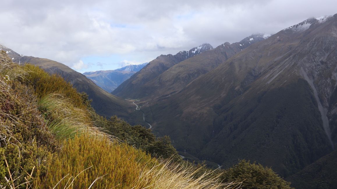 Blick ins Tal zum Arthurs Pass