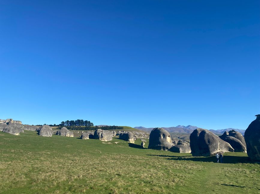 From Waimate to Twizel
