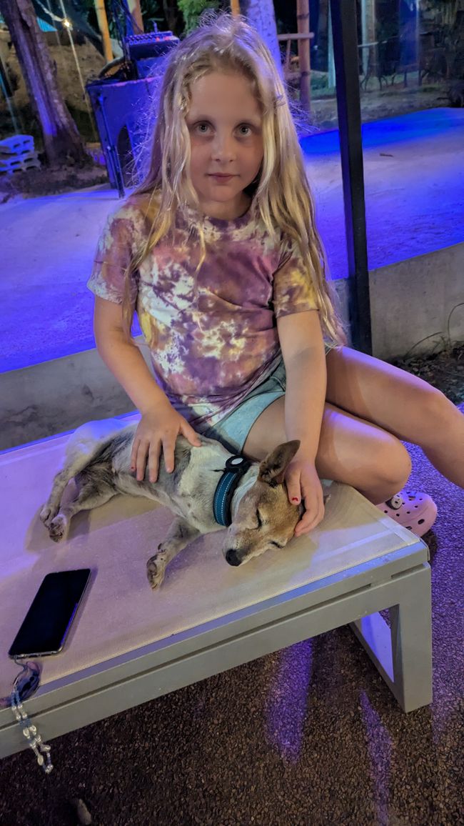 Letzte Nacht mit der Gang