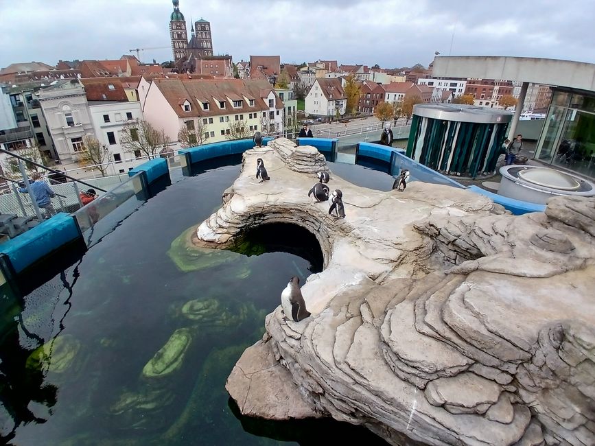 kleine-fuesse-weites-land
