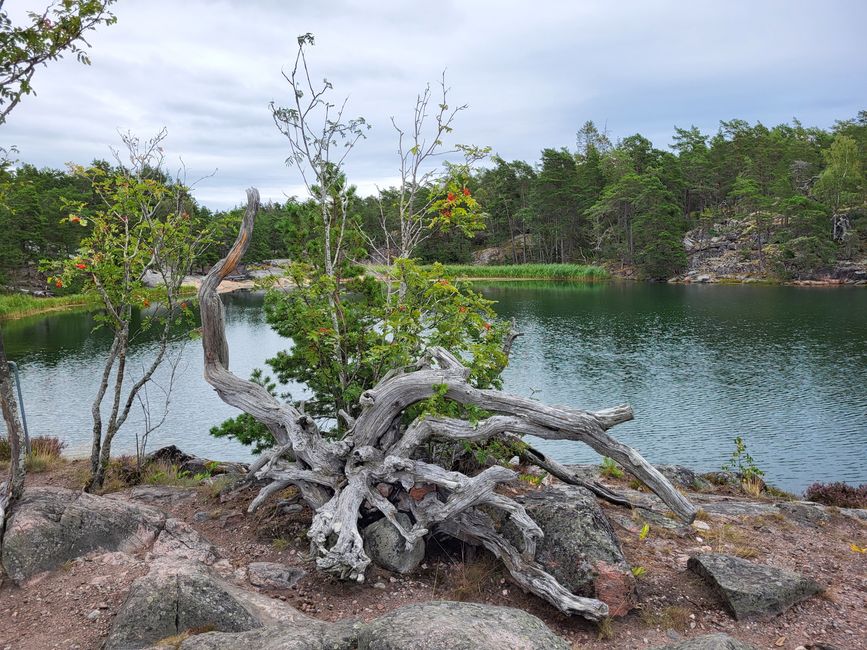 Naturschutzgebiet Stendörren