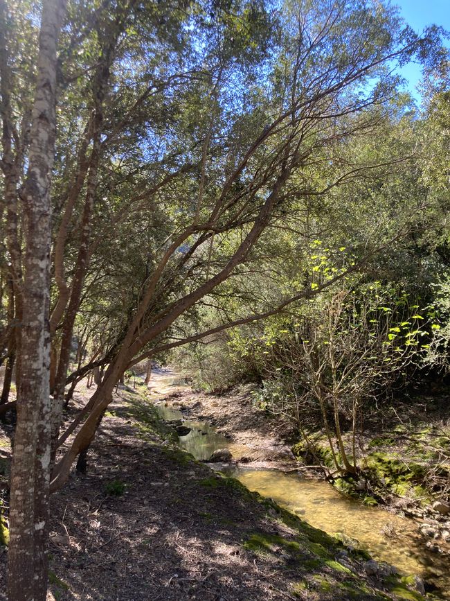 Wandern… von Santa Maria aus zum Tramuntana Gebirge…soweit meine Füße mich tragen