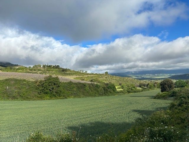 9. Tag
Estella - Los Arcos