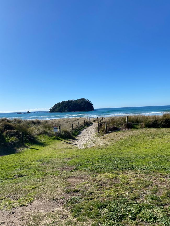 Mount Manganui沙滩的美景