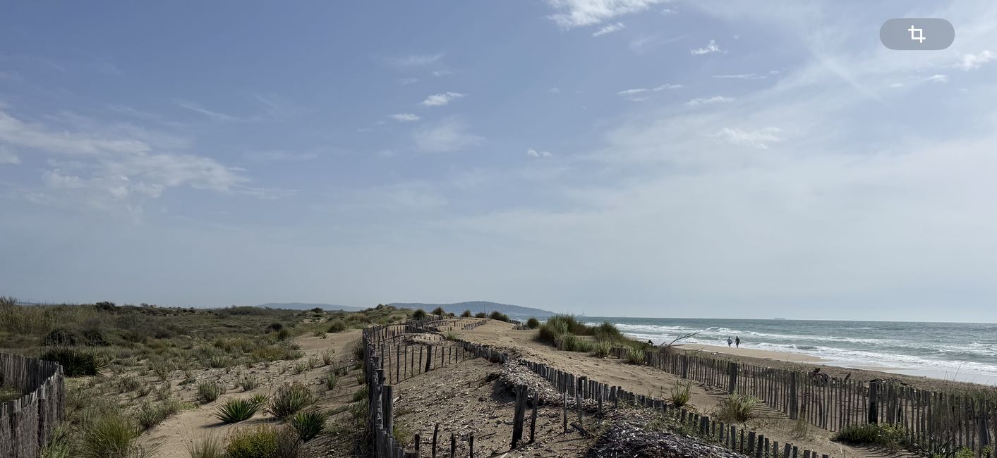 Plage Sète - Marseillan
