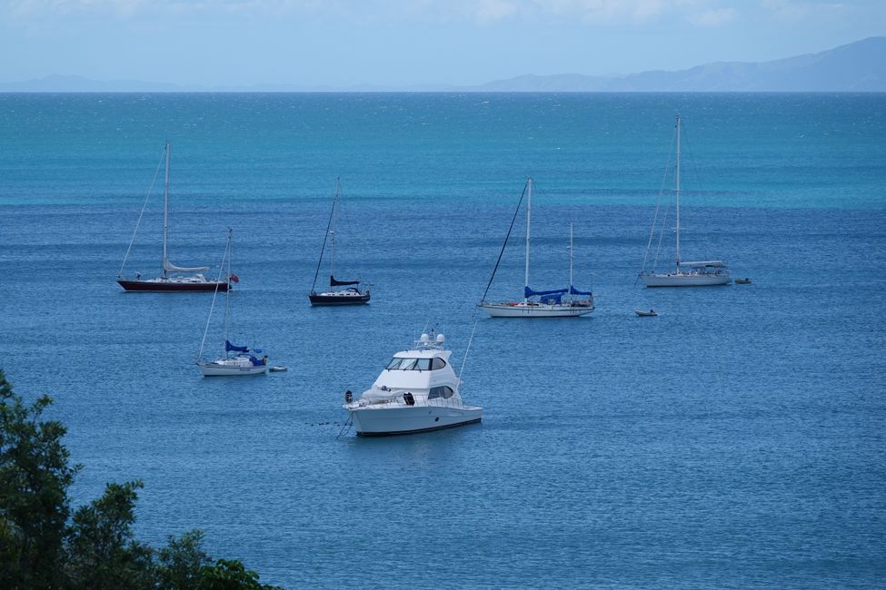 Ausflug von Auckland nach Waiheke Island ....