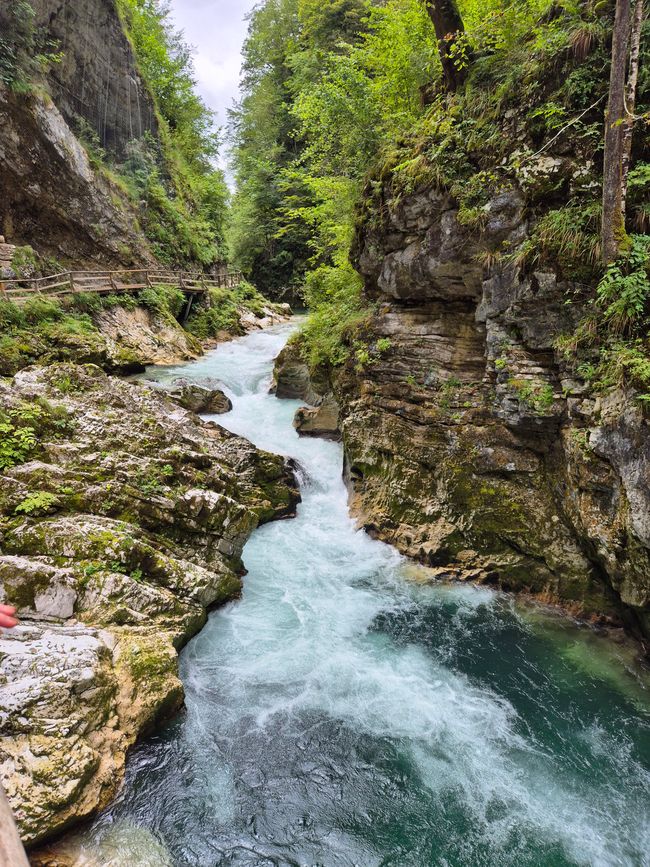 Vintgarklamm & Kremšnita👩‍♀️👨‍♂️