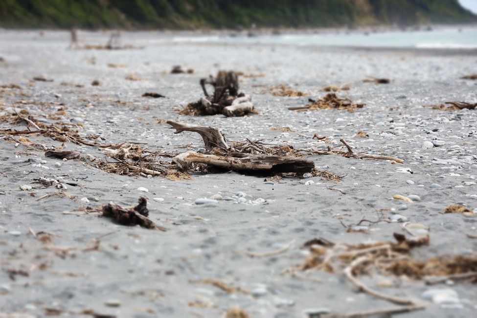 An der West Coast weiter Richtung Süden