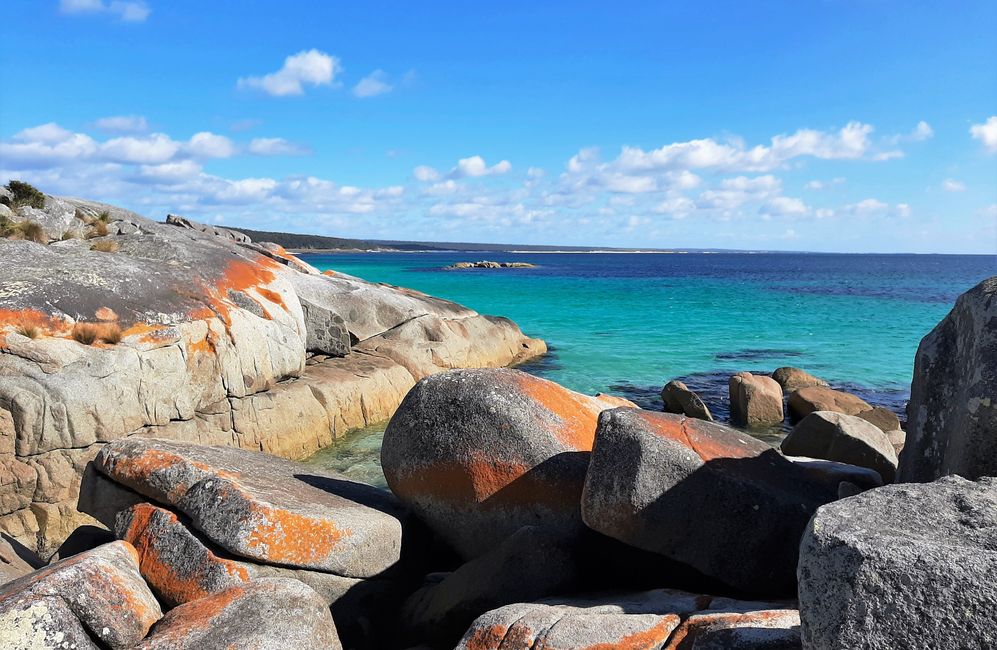 - Singapur & Tasmania 2019 -