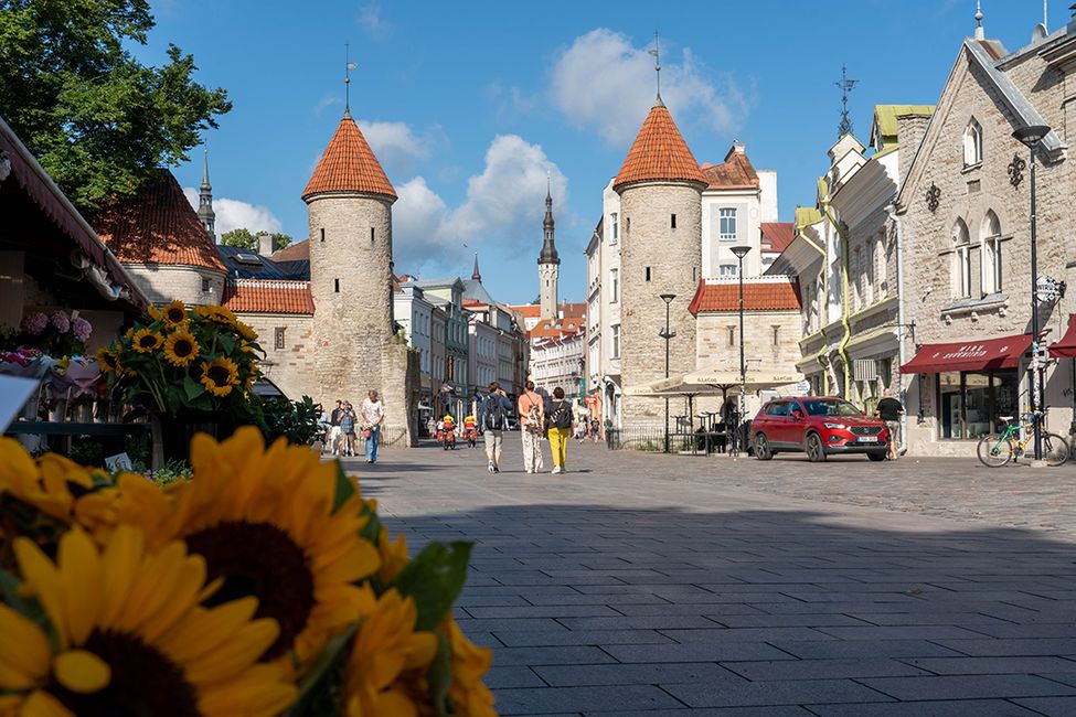 Tallinn in solitaria
