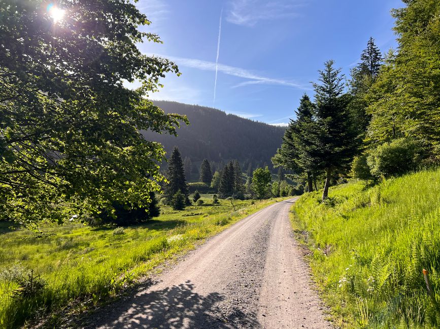 29 nach Hause